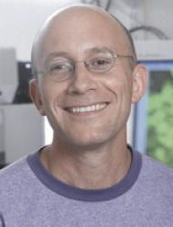 Yuval Dor
