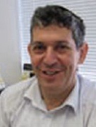 David Zangen