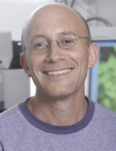 Yuval Dor